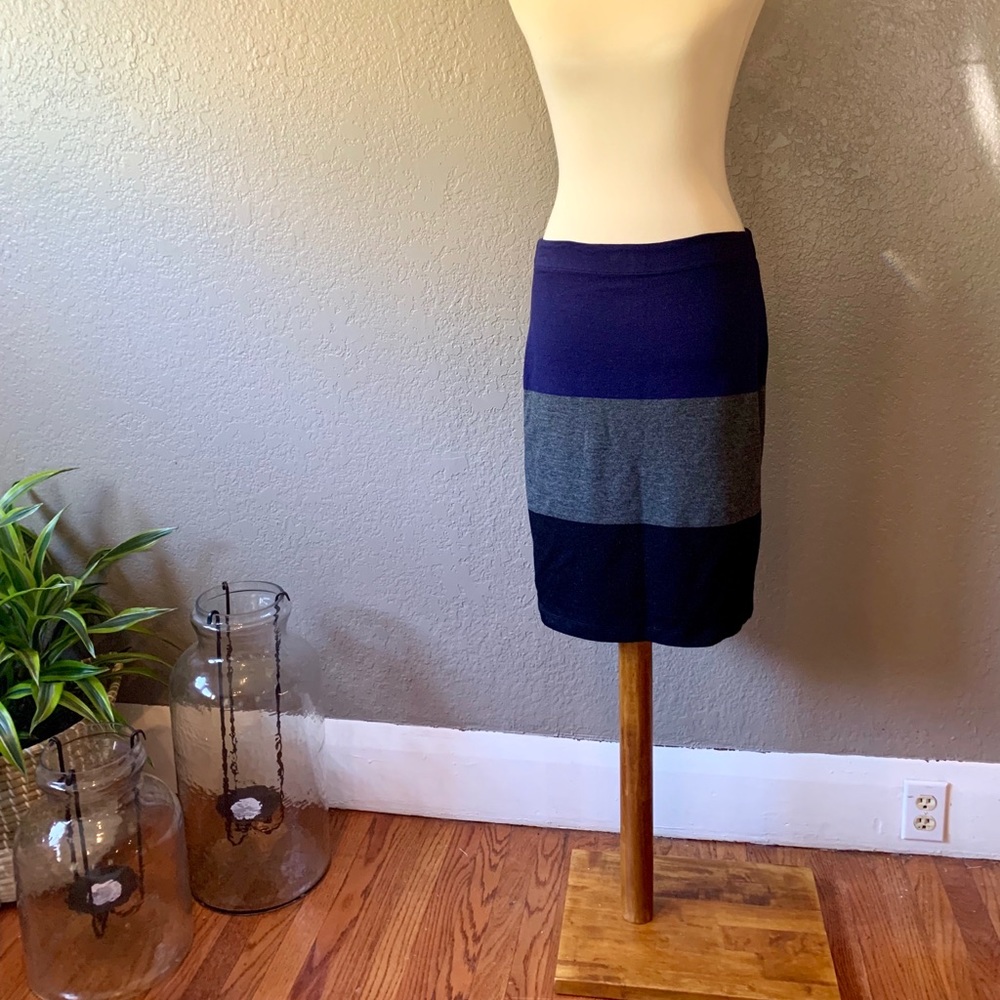 Max Studio skirt